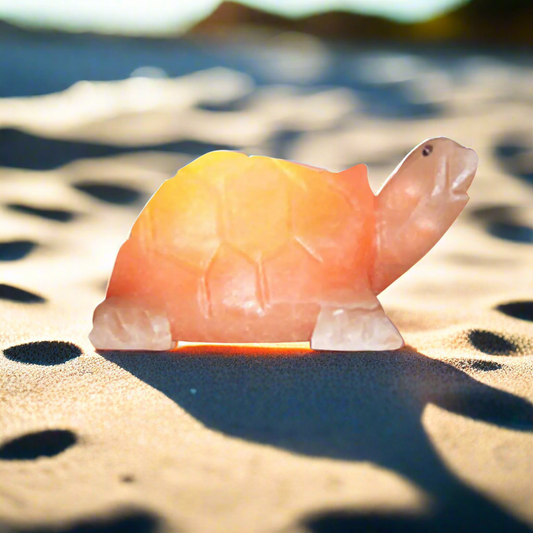 Turtle Shape Himalayan Salt Lamp