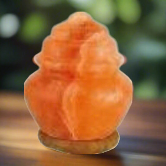 Jar Shape Himalayan Pink Salt Lamp