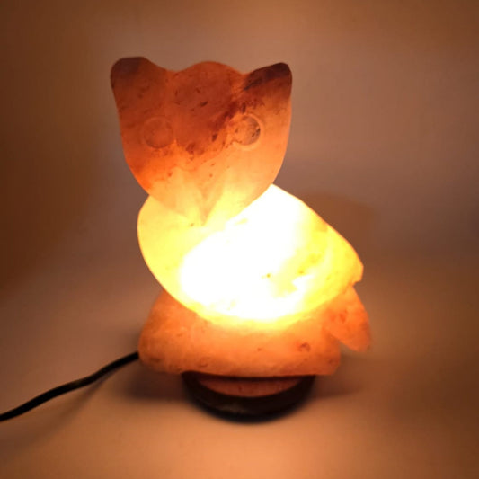 Owl Shape Himalayan Salt Lamp