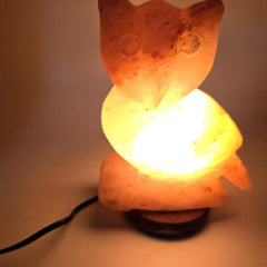 Owl Shape Himalayan Salt Lamp