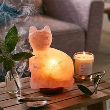 Cat Shaped Himalayan Salt Lamp