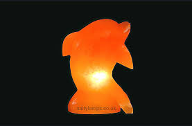 Dolphin Shape Himalayan Salt Lamp