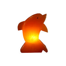Dolphin Shape Himalayan Salt Lamp