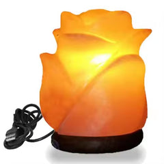 Flower Lamp Himalayan Salt Lamp by Fafa