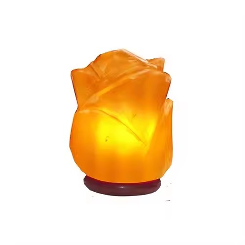 Flower Lamp Himalayan Salt Lamp by Fafa