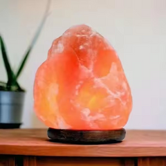 Stone Shape Pure natural Household Decorative Crystal Salt Lamp office decoration Exquisite Night Lamp