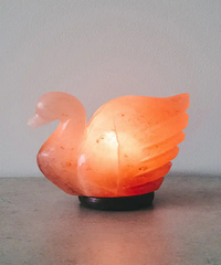Swan Shape Himalayan Salt Lamp