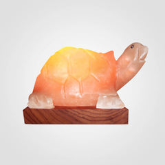 Turtle Shape Himalayan Salt Lamp