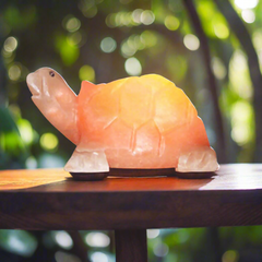 Turtle Shape Himalayan Salt Lamp