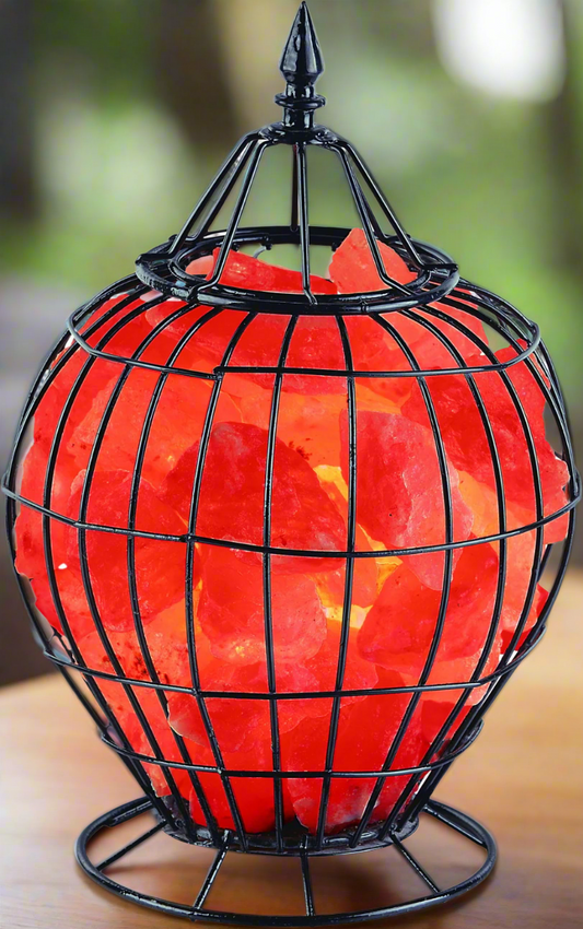 Cage Basket with Lid