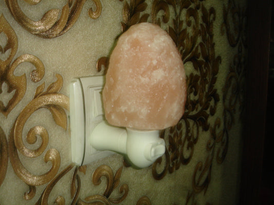 Night Lamp Natural (Stone Shape) with Holder & Bulb 1LB